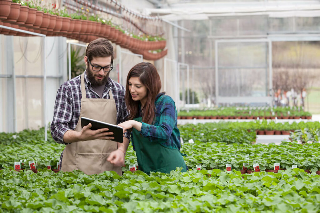 Telecommunication solutions by Agilis networks for Small Business installed at a farm